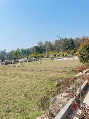 Plot Area in  Plot at Mohabbewala – for Sale