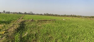  Plot For Sale in Ramnagar