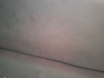 3 BHK Builder Floor For Rent in Sector 85