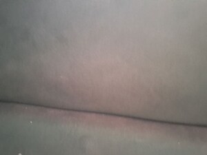 3 BHK Apartment For Rent in Sector 88