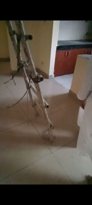 Staircase in 2 BHK Apartment at LandCraft River Heights, Raj Nagar Extension – for Rent