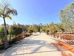 Plot For Sale in Mohabbewala