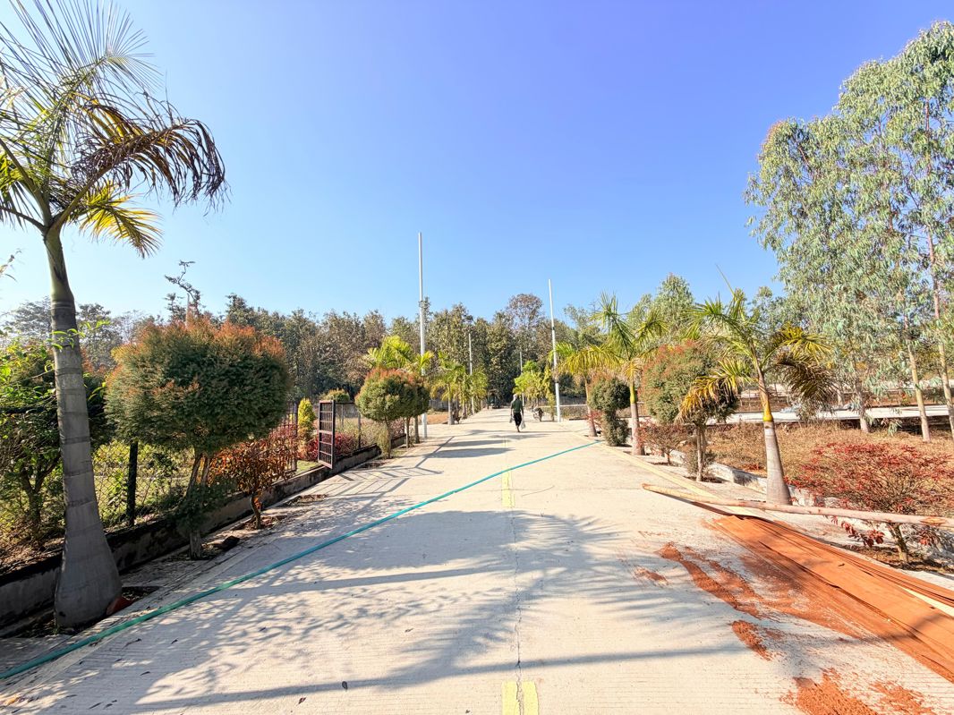 Plot For Sale in Mohabbewala