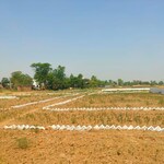 1200 Sq.Ft. Plot in Bihta