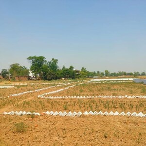  Plot For Sale in Bihta