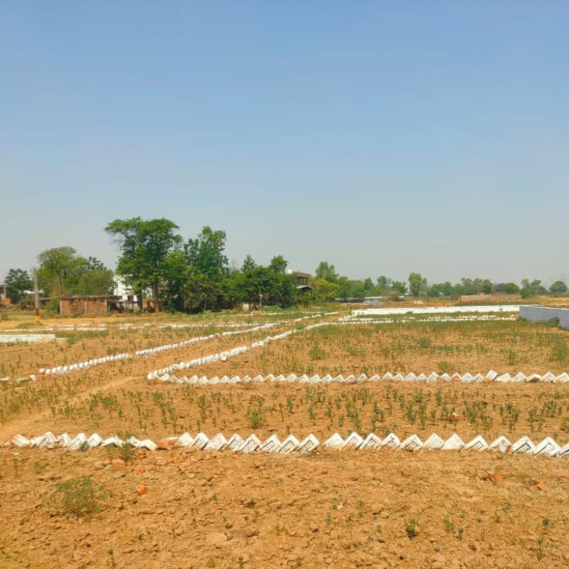 Plot For Sale in Bihta