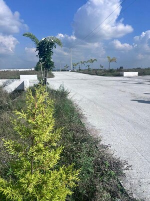 Plot Area in  Plot at Bangarapet – for Sale