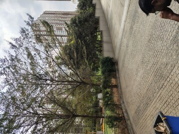 3 BHK Apartment For Rent in My Home Avatar, Gachibowli