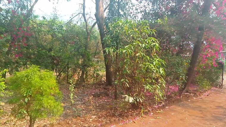 Garden, koproli  1089 Sq.Ft. Plot In Koproli Navi Mumbai 10014571