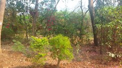 Plot For Sale in Koproli