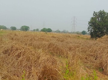 Plot Area in  Plot at Chanje – for Sale