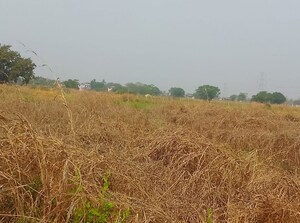 Plot Area in  Plot at Chanje – for Sale