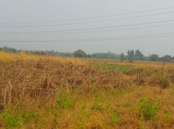 Plot For Sale in Chanje