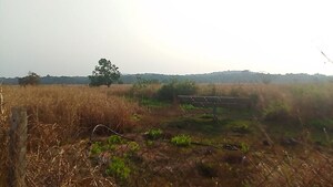 Plot Area in  Land at Chirle – for Sale