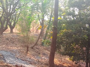  Land – Garden View at Pen - for Sale