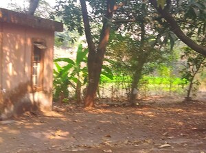  Land – Exterior View View at Pen - for Sale