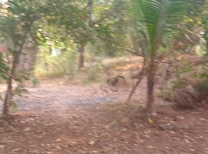  Land For Sale in Pen