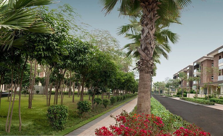 Garden, sobha-international-city-phase-1 5 Bedroom 270 Sq.Yd. Villa In Sector 109 Gurgaon 10014734