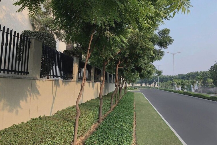Garden, sobha-international-city-phase-1 5 Bedroom 270 Sq.Yd. Villa In Sector 109 Gurgaon 10014734