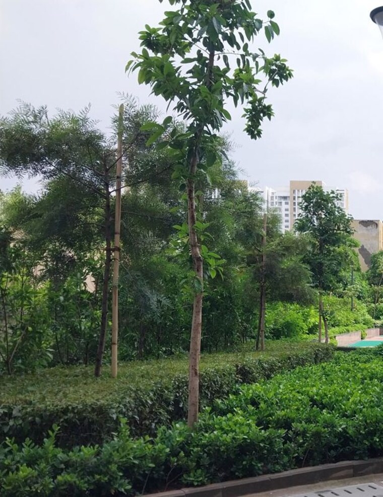 Garden, m3m-sky-city 3.5 Bedroom 2054 Sq.Ft. Apartment In Sector 65 Gurgaon 10014715