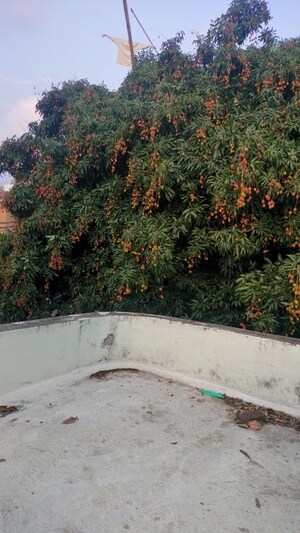 Plot Area in  Plot at Laxman Chowk – for Sale