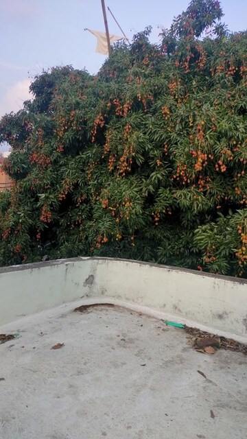 Plot Area in  Plot at Laxman Chowk – for Sale