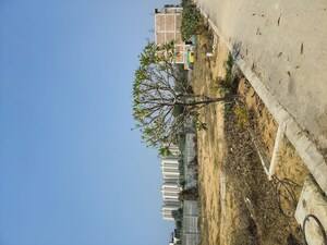  Plot – Exterior View View at Lion Green Valley 2, Sohna Sector 6 - for Sale