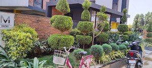 1 BHK Apartment – Garden View at Modern 312 West, Sarjapur Road - for Rent