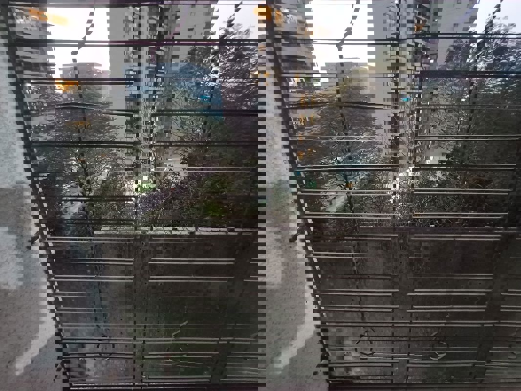 2 BHK 900 Sq.Ft. Apartment in Lake avenue CHS