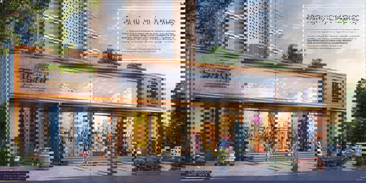 2 BHK 1146 Sq.Ft. Apartment in Excellaa Tremont