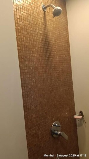 Bathroom in 3 BHK Apartment at Lodha The Park, Worli – for Rent