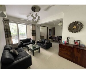 Living Room in 3 BHK Apartment at Tulip Violet, Sector 69 – for Rent