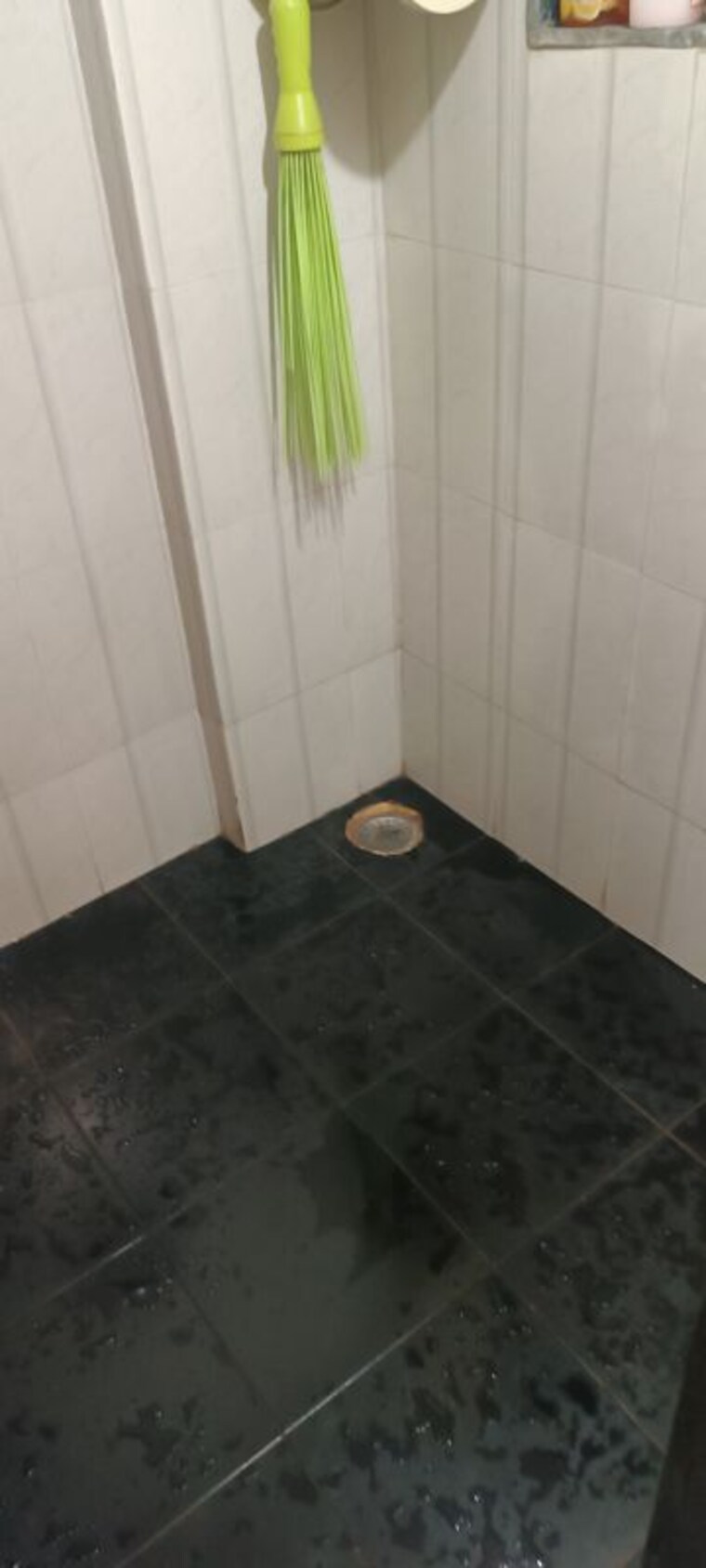 Bathroom, nerul 1 Bedroom 600 Sq.Ft. Apartment In Nerul Navi Mumbai 10018104