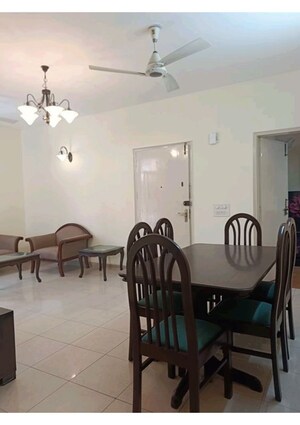 3 BHK Builder Floor For Rent in Sector 46