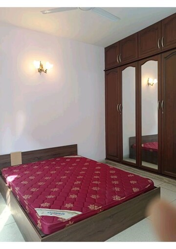 3 BHK Builder Floor For Rent in Sector 46