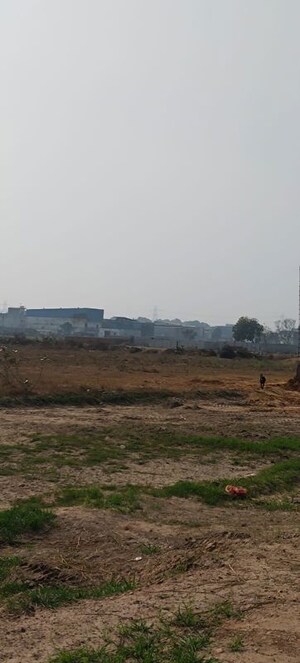 Plot Area in  Plot at Hodal – for Sale