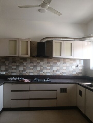 Kitchen in 3.5 BHK Builder Floor at Vasant Apartments, Sector 13 – for Rent