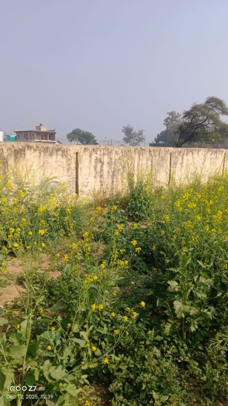 undefined, mujeri  60 Sq.Yd. Plot In Mujeri Faridabad 10019190