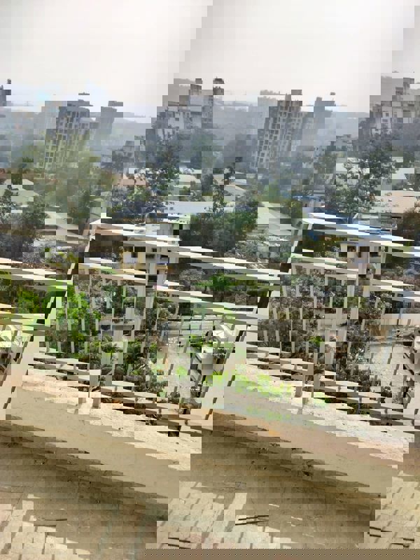 1 BHK + Servant Room 450 Sq.Ft. Apartment in Blue 27th Avenue