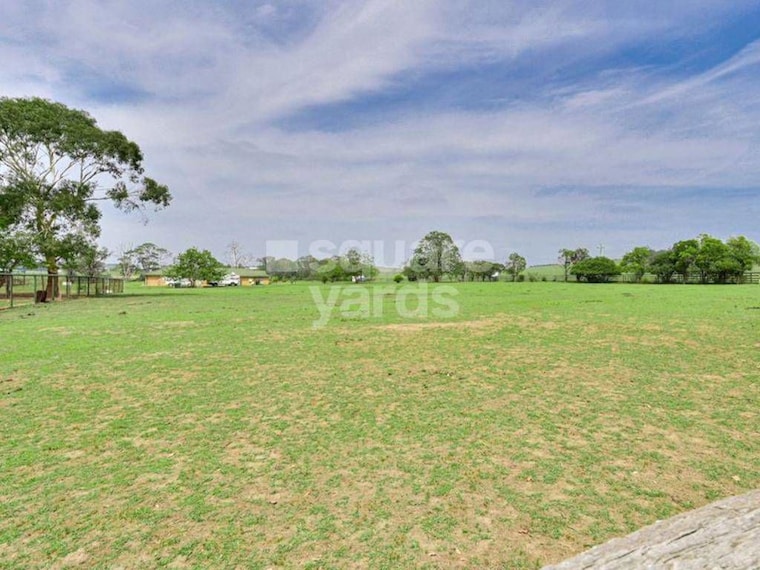 undefined, aerocity  2019 Sq.Ft. Plot In Aerocity Mohali 10019562