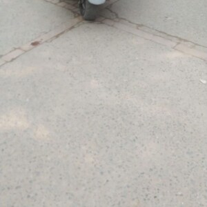 Parking in 2.5 BHK Builder Floor at Palam Vihar Residents Association, Palam Vihar – for Rent