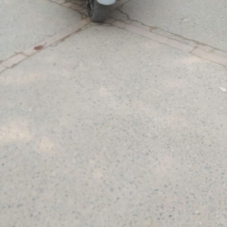  Parking, palam-vihar-residents-association 2.5 Bedroom 1100 Sq.Ft. Builder Floor In Palam Vihar Gurgaon 10020292