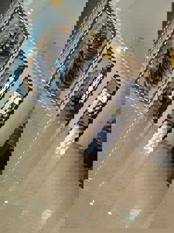 5 BHK + Servant Room 3830 Sq.Ft. Apartment in Indiabulls Enigma