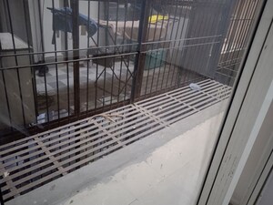 Balcony in 3.5 BHK Apartment at Amrapali Leisure Valley, Tech Zone 4 Greater Noida – for Sale