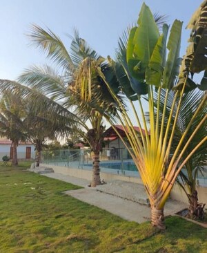  Plot – Exterior View View at Shamirpet - for Sale