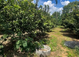 Plot Area in  Plot at Shamirpet – for Sale