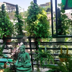 1 RK Builder Floor – Exterior View View at Malviya Nagar - for Rent