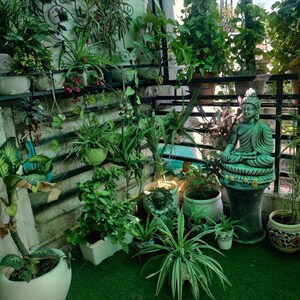 1 RK Builder Floor – Garden View at Malviya Nagar - for Rent