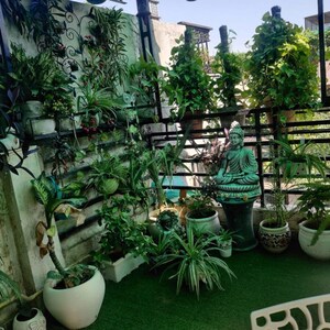 Balcony in 1 RK Builder Floor at Malviya Nagar – for Rent