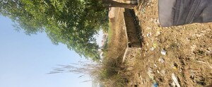  Plot For Sale in Sabhapur